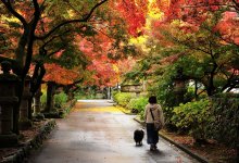 Смена погоды: часть Казахстана накроет дождем и снегом