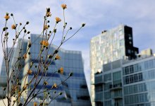 Льготные ипотеки для казахстанцев стартуют в ноябре