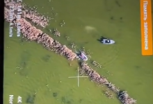 Тело мужчины нашли в озере в Павлодарской области