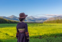 Землю стоимостью 5,9 млрд тенге в элитной части Алматы вернули в госсобственность