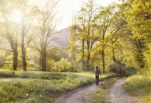 Привычка номер один для женщин старше 50 лет