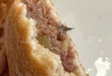 Булочку с шерстью мыши обнаружили в столовой Абайской области