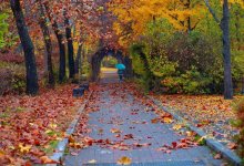 Осадки обрушатся на некоторые регионы Казахстана