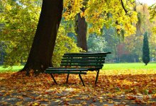 Солнечно и тепло будет в Шымкенте