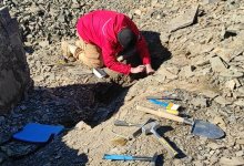 Ученые нашли в Алматинской области следы жизни до эпохи динозавров