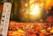 Теплая погода порадует жителей Шымкента