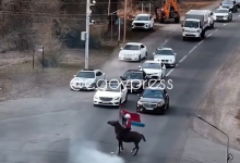 Водители устроили дрифт на трассе в Алматинской области (ВИДЕО)