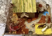 Задание для дочери от детсада стало масштабным проектом для родителей в Атырау (ВИДЕО)