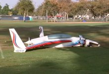 Самолет упал в США и задел глухую женщину с собакой