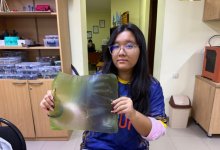 Школьница из Атырау получила грант на создание "экопластика"