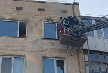 Пожарные реанимировали кошку в Кокшетау (ВИДЕО)