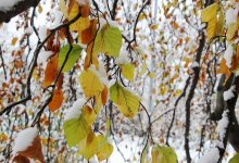 Осадки и резкое понижение температуры ожидаются в Казахстане