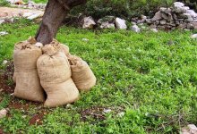 48 мешков с человеческими останками нашли в Мексике