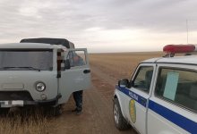 Мужчина погиб во время лесозаготовки в Акмолинской области