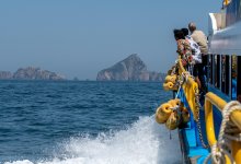 80-летнюю женщину забыли на острове, где она скончалась