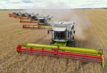 237,6 млрд тенге в поддержку аграриев: как Акмолинская область добилась рекордного урожая