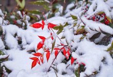 Циклон принесет в Казахстан дожди, снег и похолодание