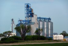 Китай построит в Казахстане агрохаб мирового уровня