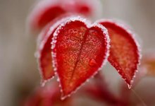 Cиноптики предупредили казахстанцев: 2 ноября будет шторм и гололед