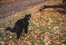 От гололеда до пожаров: Казахстан ждут резкие погодные контрасты