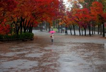 Высокая пожарная опасность и гололед ожидаются в Казахстане 3 ноября