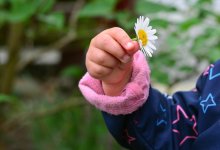 Трехлетняя девочка схватилась за оголенные провода в Павлодаре