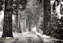 К снежной и ветреной зиме готовятся в одном из регионов Казахстана