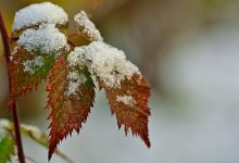 Дождь и снег накроют Казахстан 4 ноября