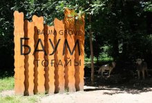 Как будет выглядеть после обновления роща Баума в Алматы