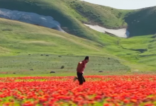 Instagram стал подписчиком казахстанца Дастана Мухамедрахима (ВИДЕО)