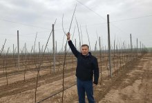 Казахстан движется в правильном направлении – депутат