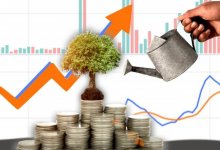 На 44,7% больше, чем в 2024 году: Акмолинская область привлекла 368,8 млрд тенге инвестиций