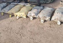 Почти 300 кг рыбы изъяли у браконьеров в Павлодарской области