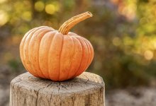 Тыква помогает при бессоннице