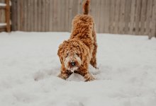 Казахстан накроет снег и гололед: прогноз на 6 ноября