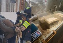 Свыше тонны прекурсоров и более 52 кг наркотиков изъяли полицейские в Караганде (ВИДЕО)