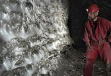 Ученые нашли крупнейшую в мире паутину - в ней живут более 111 тыс. пауков