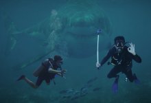 Акула напала на туристку во время снорклинга на Мальдивах