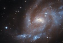 Гороскоп на вторник 11 ноября: день ясности и верных решений