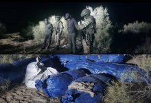 Более 27 тонн наркотиков изъяли из оборота в Казахстане (ВИДЕО)