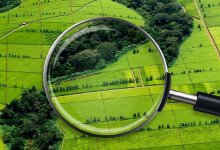 В Казахстане досрочно вернули государству 2 млн гектаров неиспользуемых земель