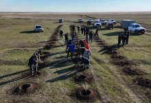 Жители Казахстана посадили деревья и убрали мусор в рамках "Таза бейсенбі"