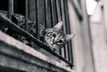 Ребенок свисал с балкона третьего этажа в Караганде (ВИДЕО)