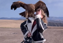 Орел едва не лишил глаза модель на фотосессии