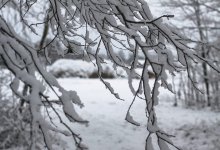 Снег, метель и гололед накроют Казахстан