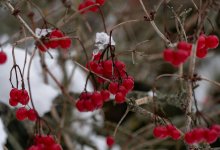 Дождь и снег ожидаются в Казахстане 19 ноября