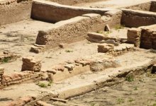 Кембриджские ученые сообщили о крупном открытии в Абайской области