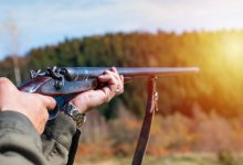 Браконьеры пытались скрыться от полиции в Туркестанской области