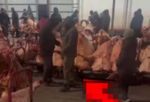 На рынке "Алем" подделывали ветеринарные документы в Астане