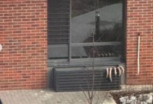 Сезон соғыма: астанчане развесили мясо прямо во дворе дома (ВИДЕО)